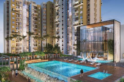 Purva Zenium